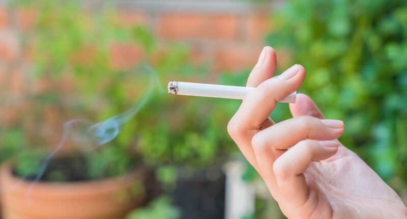 Cigarrillo y vapeo: lo que los jóvenes deben saber sobre cuidar su salud pulmonar